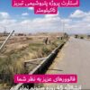 حصار کشی حیدری