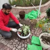 انجام کلیه امور باغبانی و باغچه درکل تهران