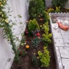 انجام کلیه امور باغبانی و باغچه درکل تهران