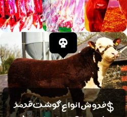 فروش‌انواع‌گوشت‌قرمز