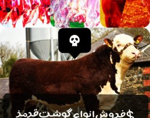 فروش‌انواع‌گوشت‌قرمز