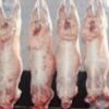 فروشانواعگوشتقرمز