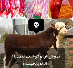 فروش‌انواع‌گوشت‌قرمز
