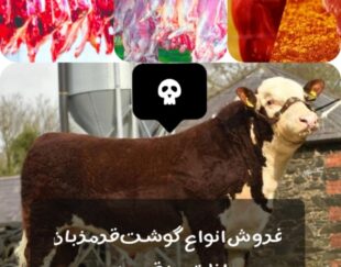 فروش‌انواع‌گوشت‌قرمز