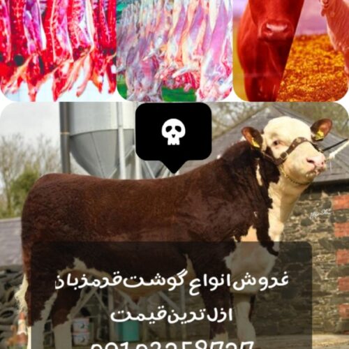 فروش‌انواع‌گوشت‌قرمز