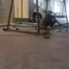 چاه کن حرفه ای در کرج وحومه