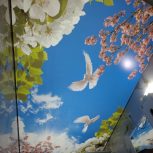 اجرای آسمان مجازی باریسول لاکر سقف کشسان