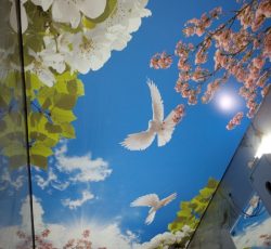 اجرای آسمان مجازی باریسول لاکر سقف کشسان