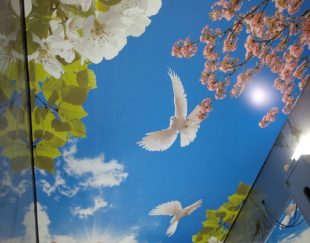 اجرای آسمان مجازی باریسول لاکر سقف کشسان