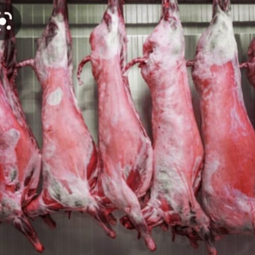 فروش‌انواع‌گوشت‌قرمز