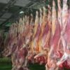 فروشانواعگوشتقرمز