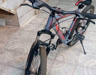 دوچرخه ترینکس