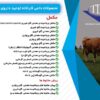مکمل و کنسانتره دام و طیور کارخانه توحید دارو پارس