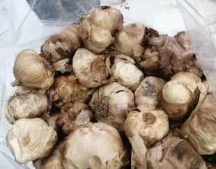 سیر سیاه(به صورت عمده و خرده)