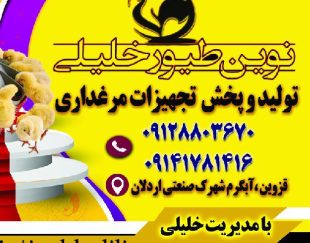 فروش ونصب صفر تا صد تجهیزات مرغداری گوشتی و تخمگذار
