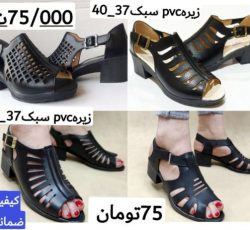 پخش عمده کفش زنانه و مردانه در تمامی سبک ها