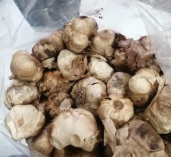 سیر سیاه(به صورت عمده و خرده)