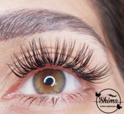 اکستنشن تار به تار و اصولیِ مژه