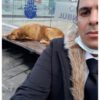 مکالمه تضمینی زبان انگلیسی