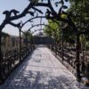 نمای طرح چوب و سنگ سیمانی