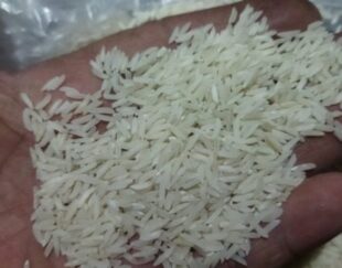 برنج فجر سوزنی خوش پخت و خوش عطر دارم