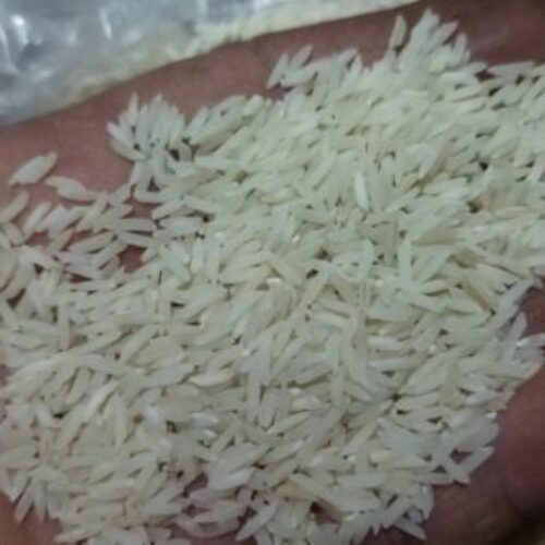 برنج فجر سوزنی خوش پخت و خوش عطر دارم