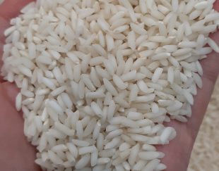 برنج عنبربوی خوش عطروپخت