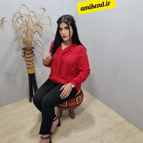شومیز کد 113