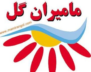 آرد نخودچی طلایی