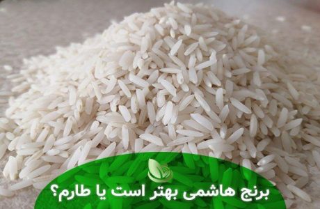 برنج طارم و هاشمی ،کدام بهتر است ؟