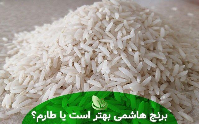 برنج طارم و هاشمی ،کدام بهتر است ؟