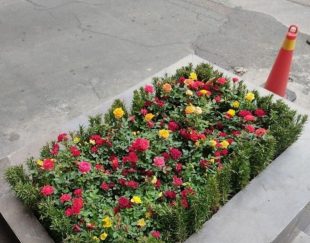 خدمات باغبانی باغچه کاری هرس کاری سمپاشی تمام نقاط