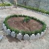 خدمات باغبانی باغچه کاری هرس کاری سمپاشی تمام نقاط
