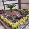 خدمات باغبانی باغچه کاری هرس کاری سمپاشی تمام نقاط