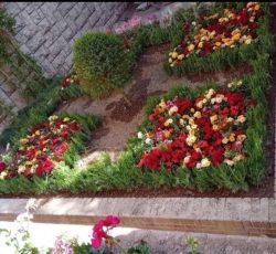 خدمات باغبانی درمحل